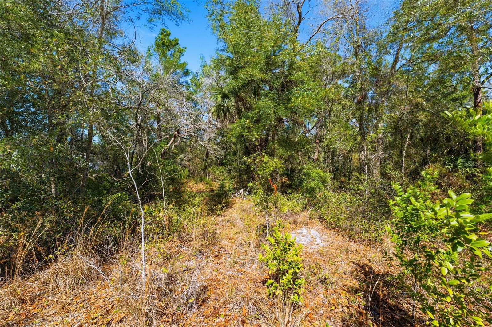 9255 GROUSE WAY, HUDSON, FL — photo 4
