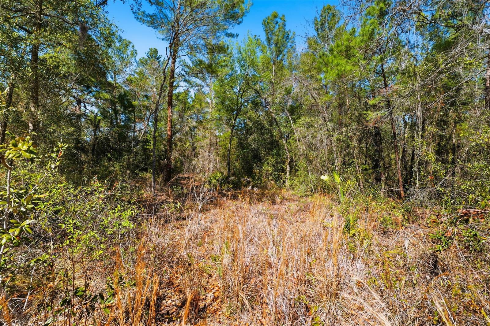 9255 GROUSE WAY, HUDSON, FL — photo 7