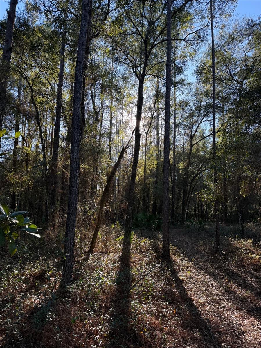 TBD NE 150 AVE, FORT MC COY, FL — photo 3
