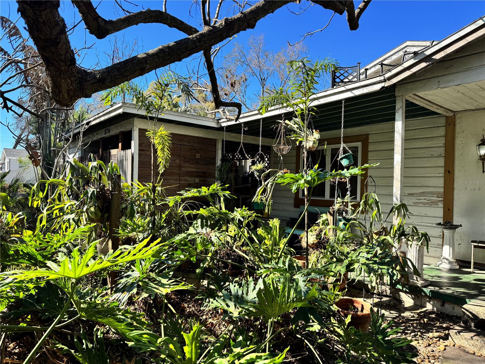 8716 N TEMPLE AVE, TAMPA, FL — photo 3