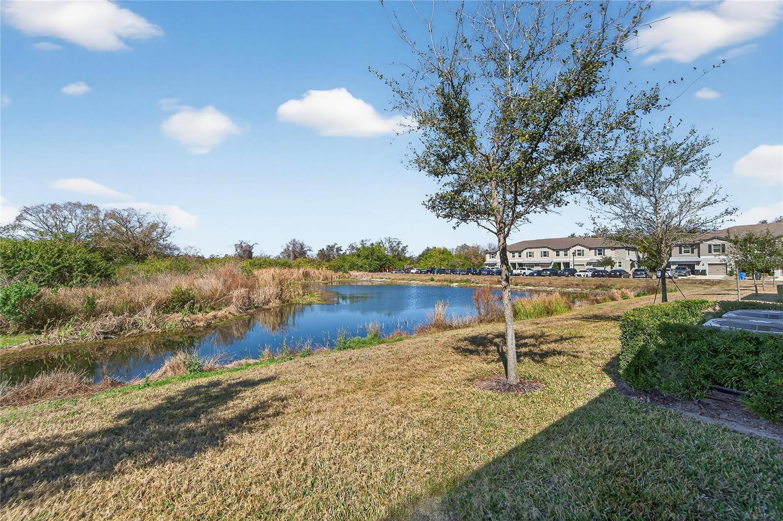 15519 PRESTWICK ROSE PL, SUN CITY CENTER, FL — photo 40