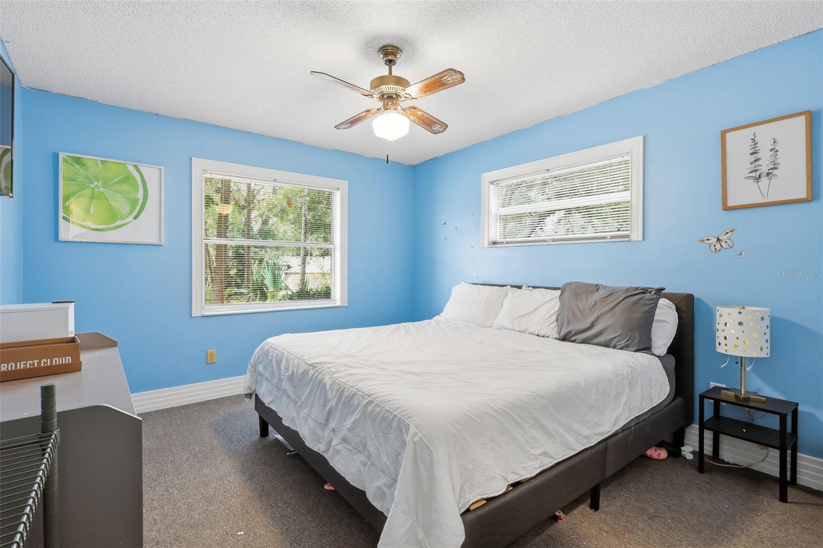 244 ANGELES RD, DEBARY, FL — photo 22