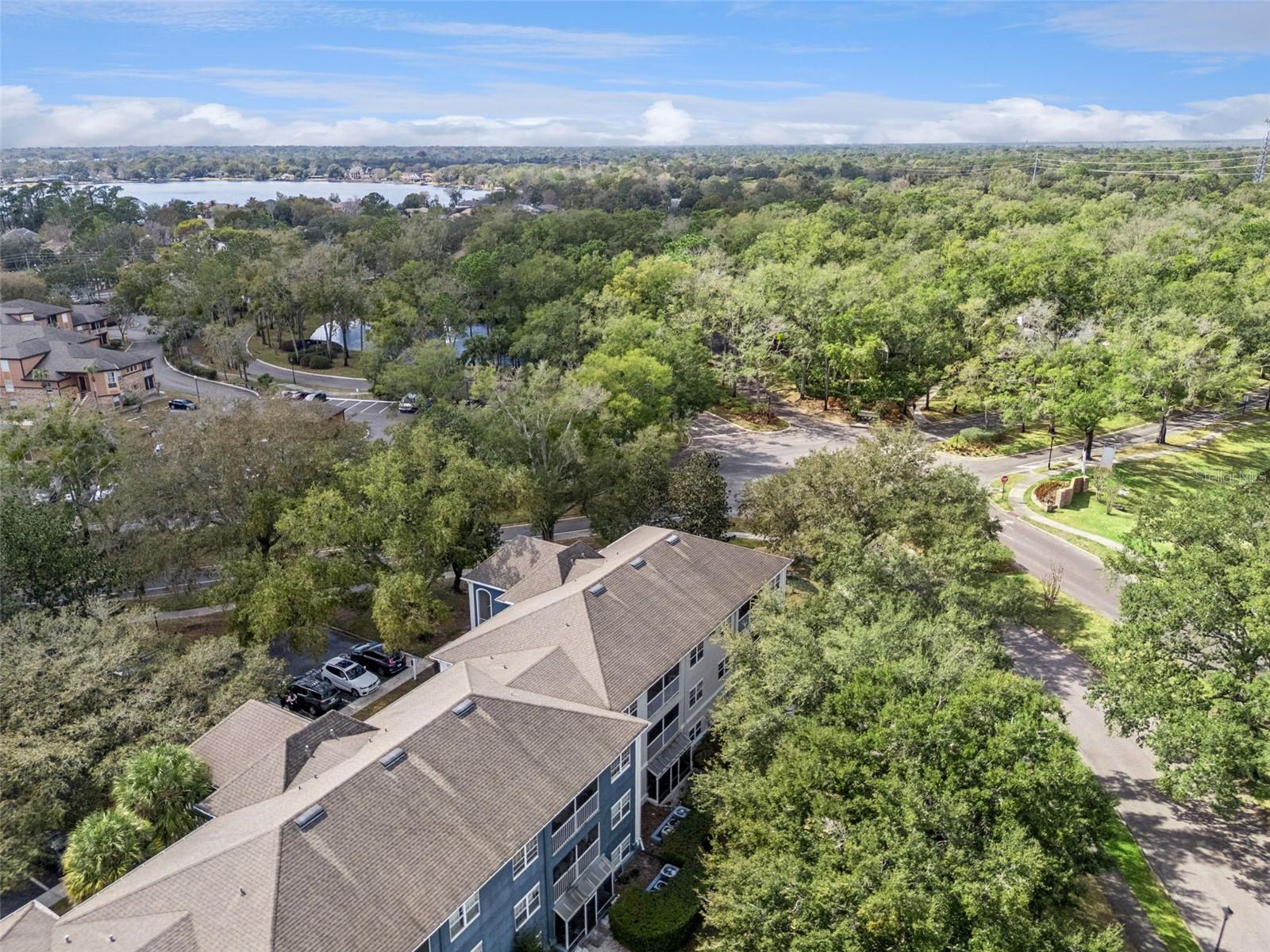 8201 OLYMPIA CT #8201, LONGWOOD, FL — photo 40