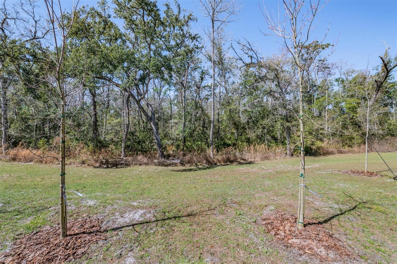 11123 WISHING CLOUD RD, LAND O LAKES, FL — photo 37