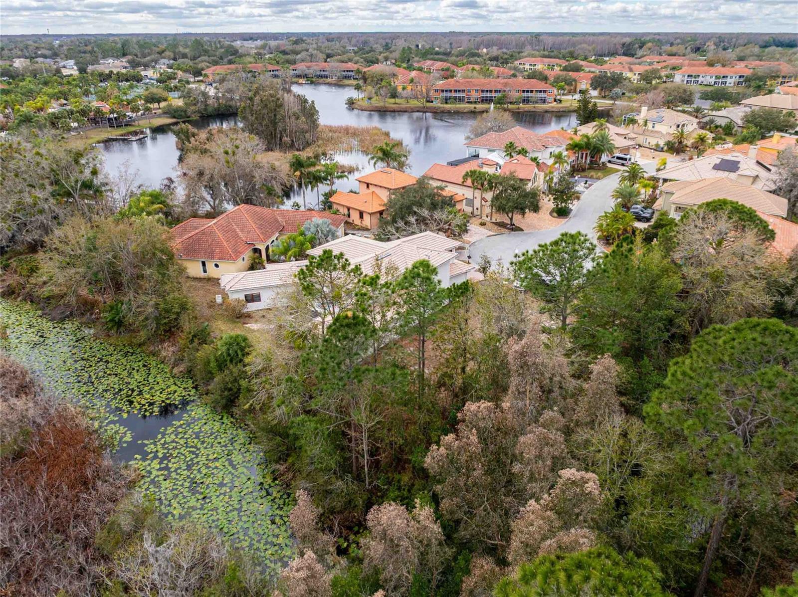 21150 LOS CABOS CT, LAND O LAKES, FL — photo 46