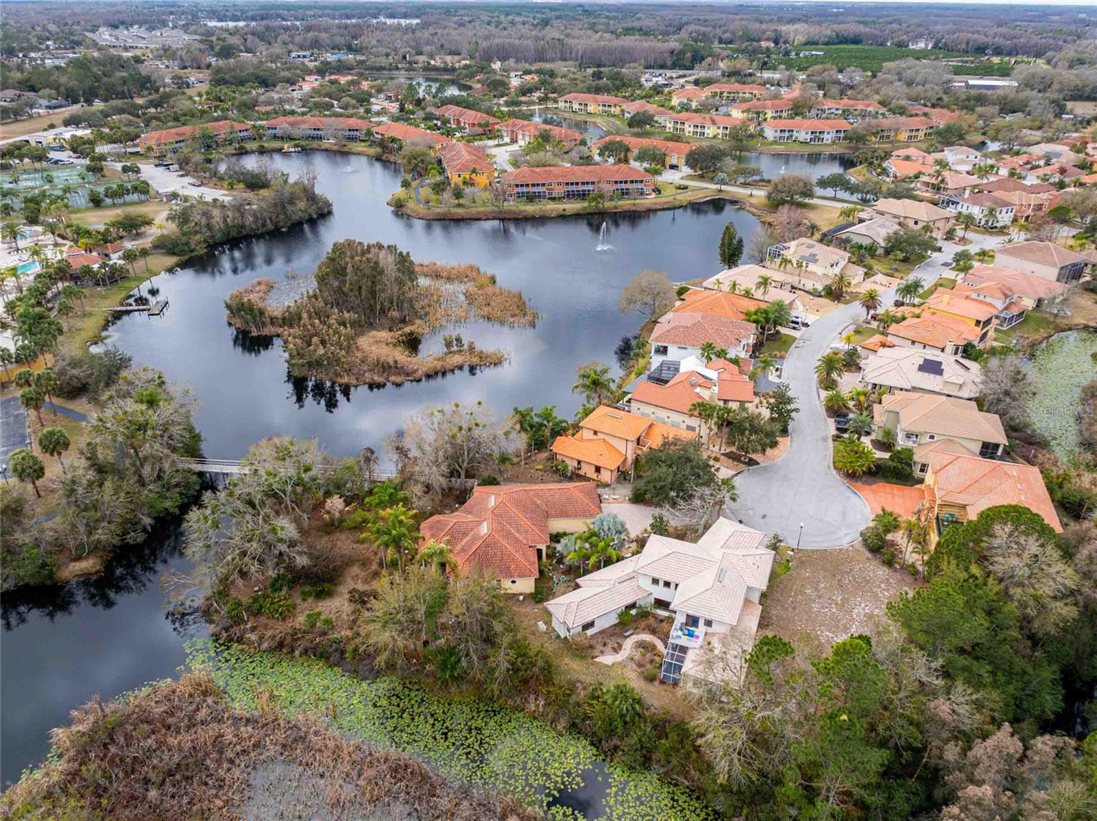 21150 LOS CABOS CT, LAND O LAKES, FL — photo 48