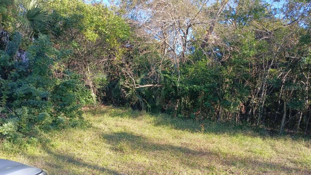 AVENUE O, ORMOND BEACH, FL — photo 2