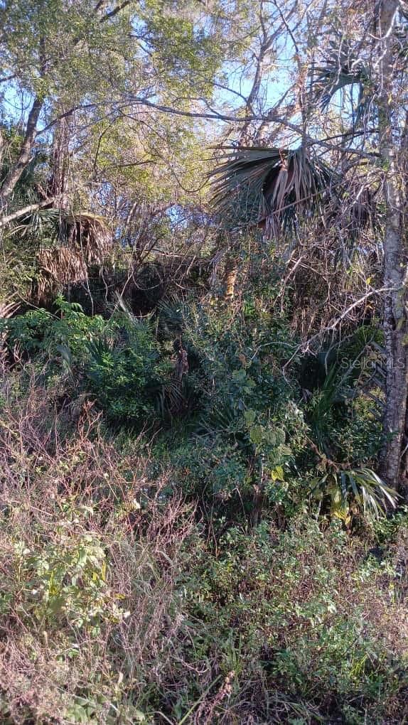 AVENUE O, ORMOND BEACH, FL — photo 4