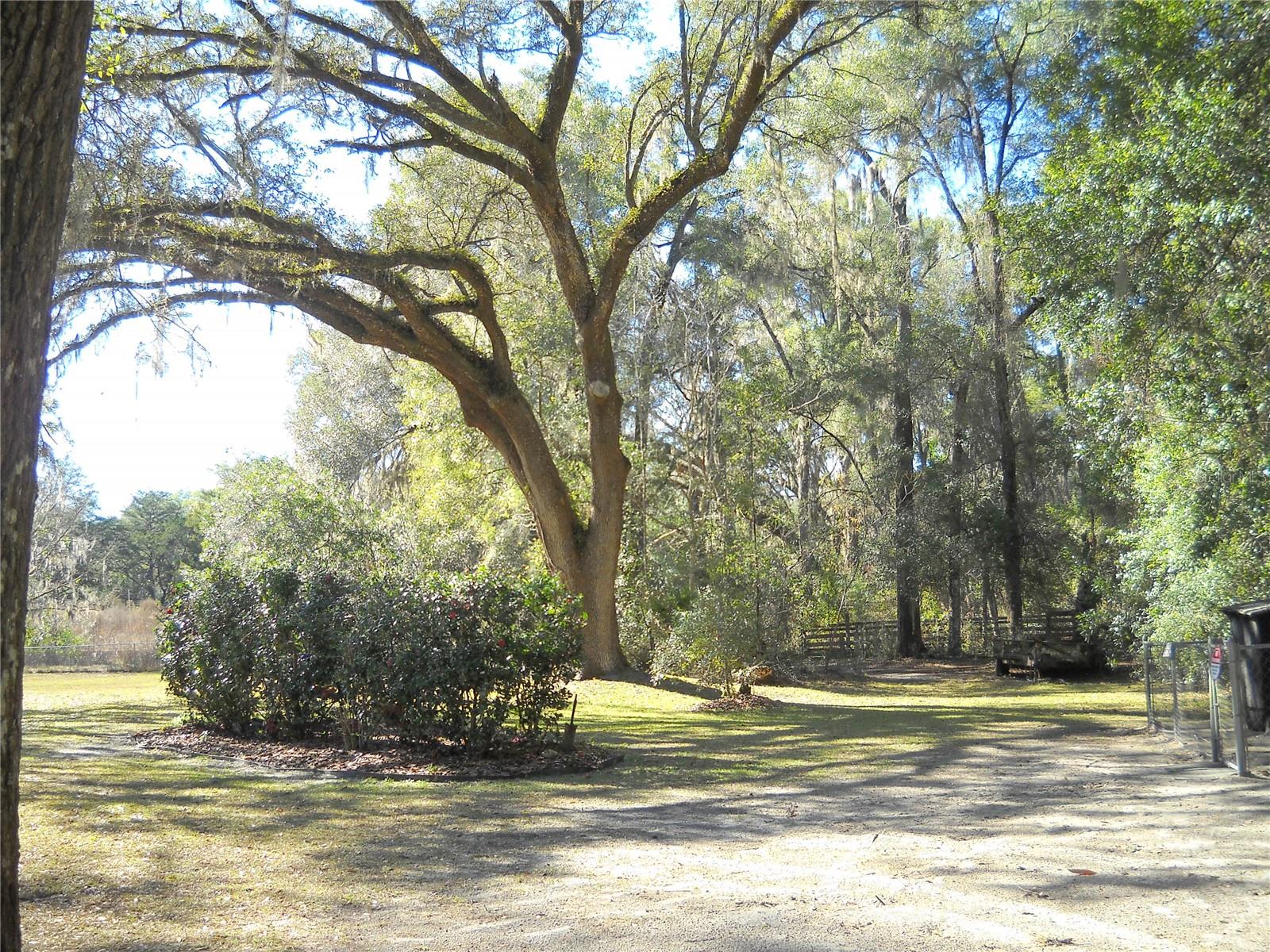 4881 NW 69TH ST, OCALA, FL — photo 33