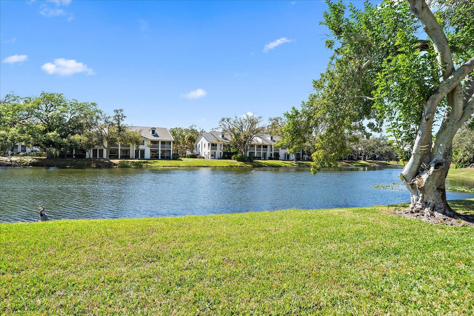 5654 GARDENS DR, SARASOTA, FL — photo 5