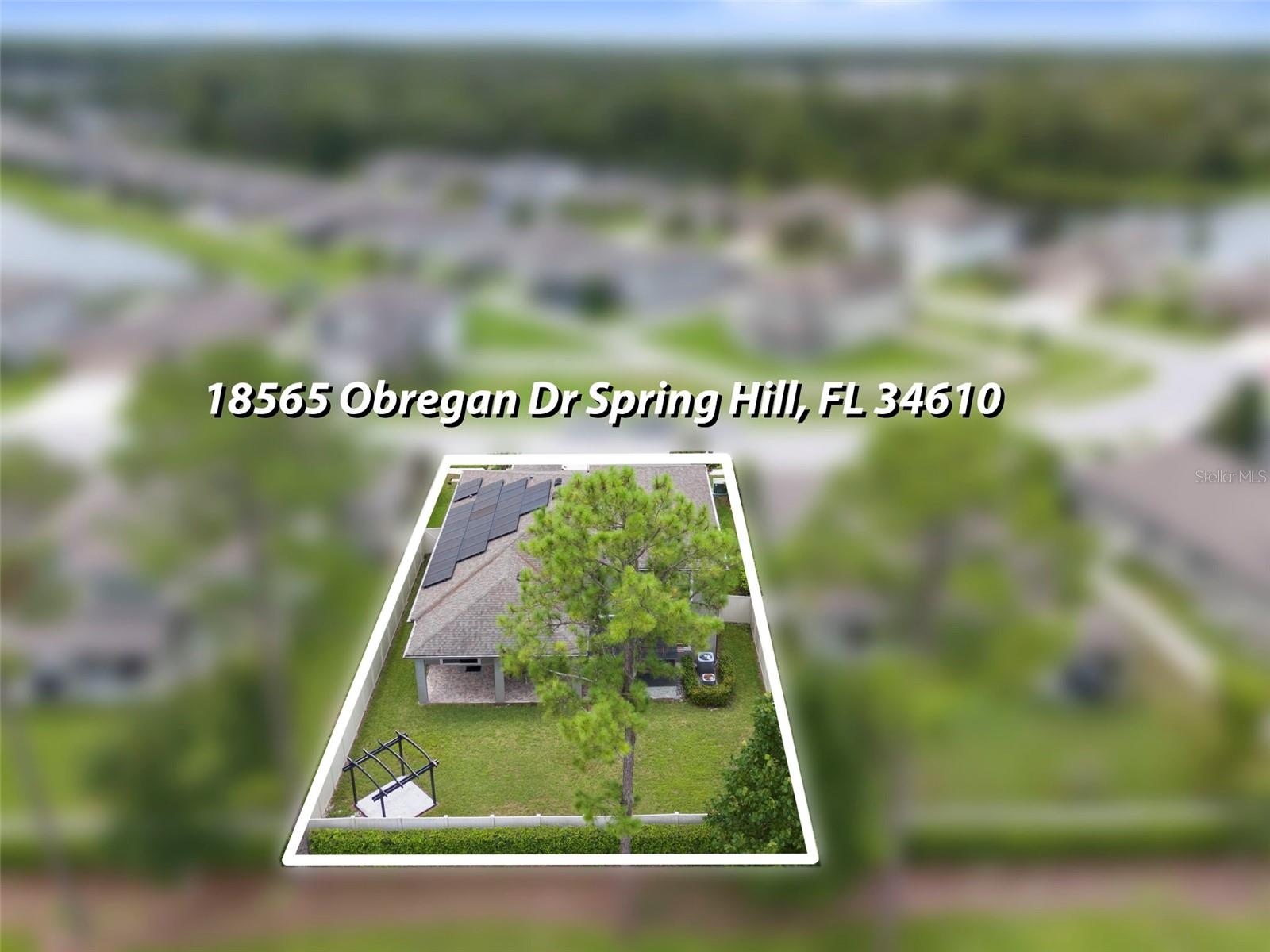 18565 OBREGAN DR, SPRING HILL, FL — photo 61