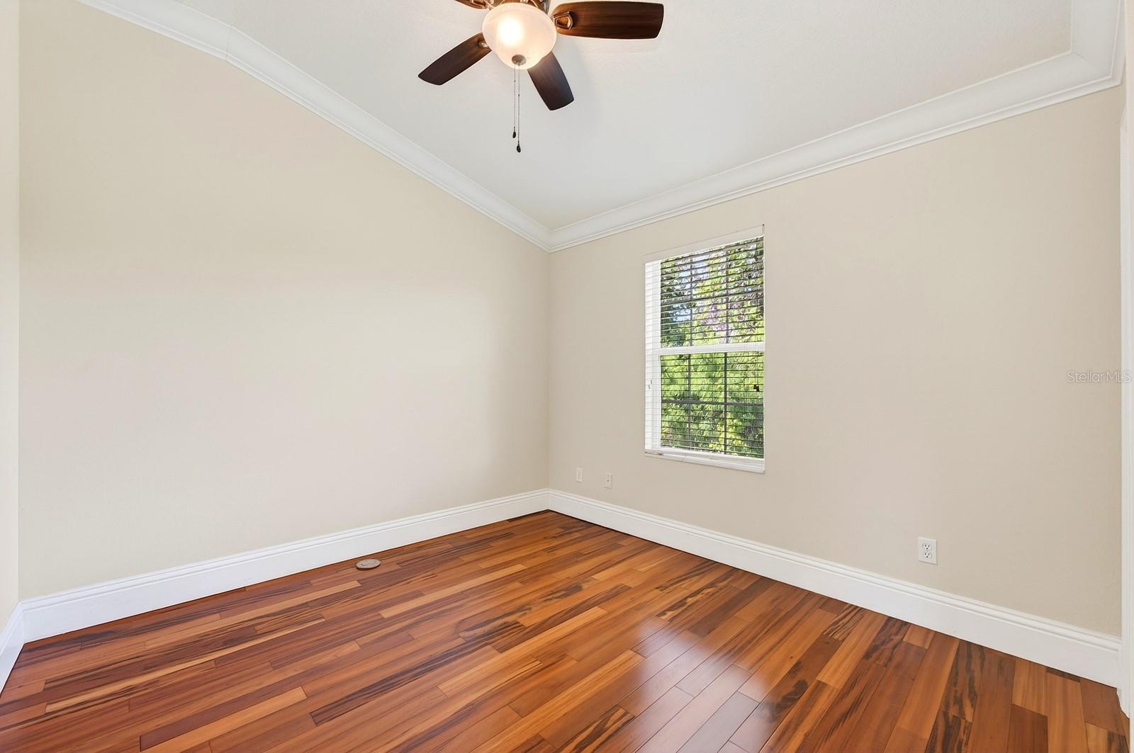 6390 SOUTHBRIDGE ST, WINDERMERE, FL — photo 20