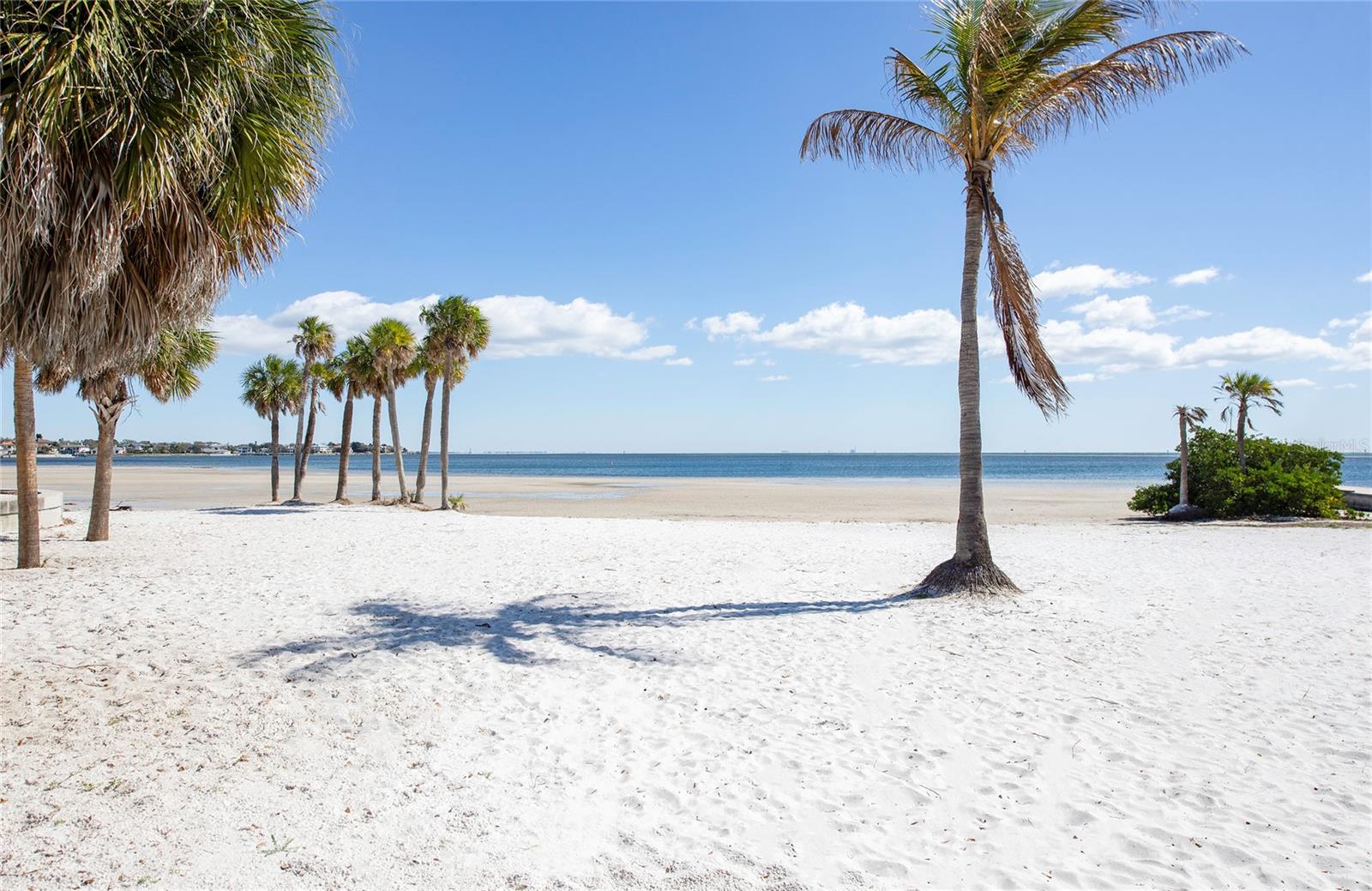 700 BEACH DR NE #406, ST PETERSBURG, FL — photo 45