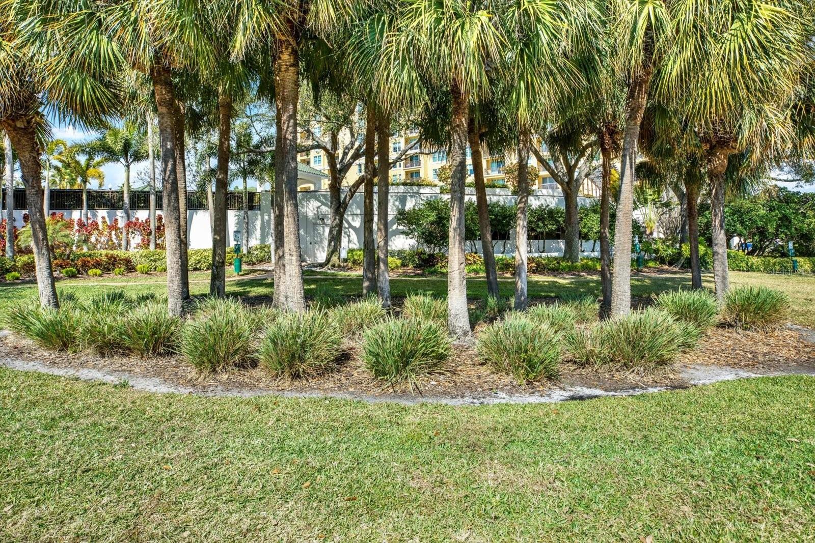345 BAYSHORE BLVD #302, TAMPA, FL — photo 42