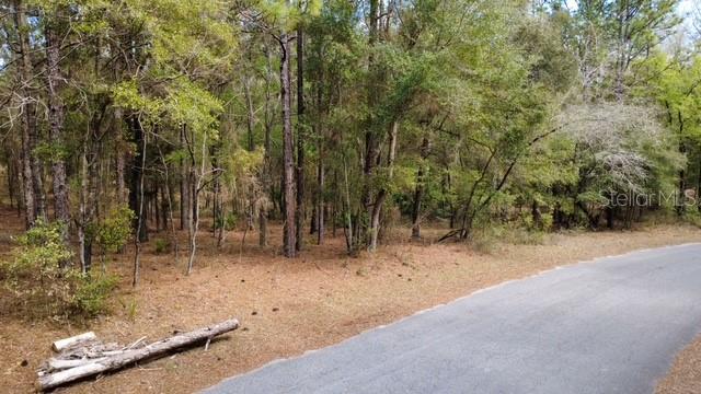 SW 73 LOOP, DUNNELLON, FL — photo 3