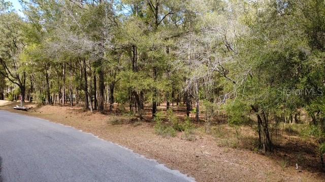 SW 73 LOOP, DUNNELLON, FL — photo 4