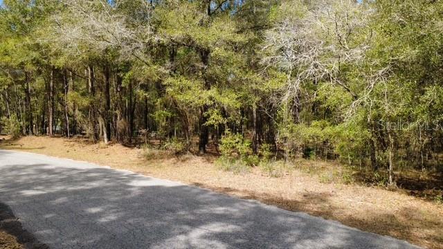 SW 73 LOOP, DUNNELLON, FL — photo 5