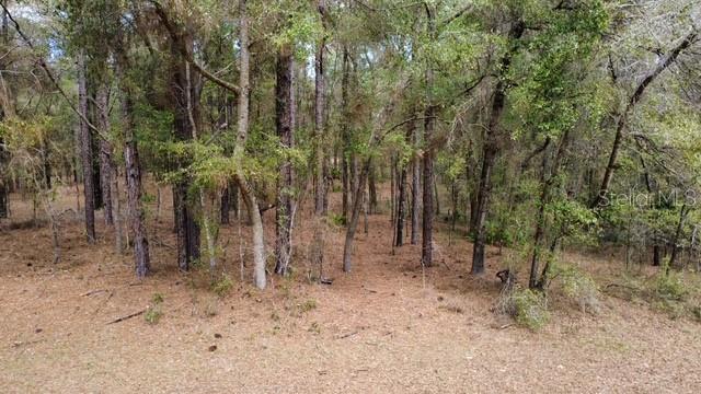 SW 73 LOOP, DUNNELLON, FL — photo 6