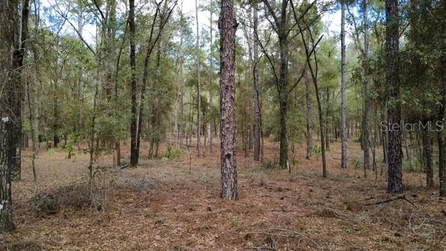 SW 73 LOOP, DUNNELLON, FL — photo 8