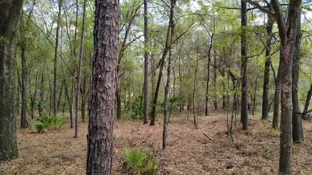 SW 73 LOOP, DUNNELLON, FL — photo 9