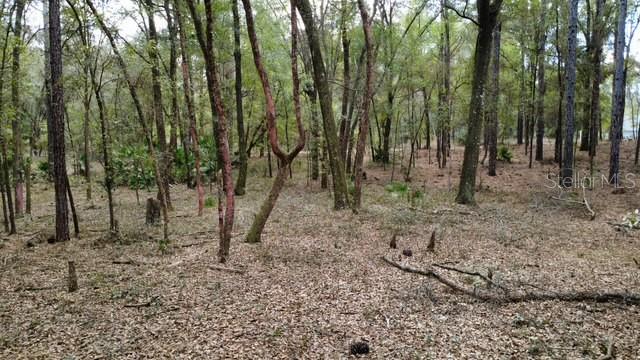 SW 73 LOOP, DUNNELLON, FL — photo 10