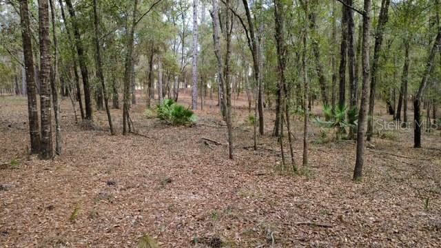 SW 73 LOOP, DUNNELLON, FL — photo 11