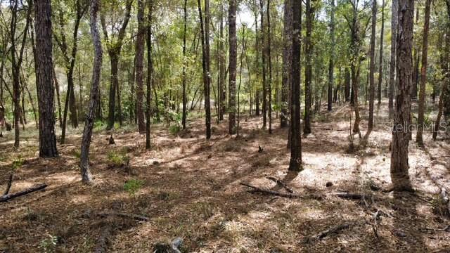 SW 73 LOOP, DUNNELLON, FL — photo 12