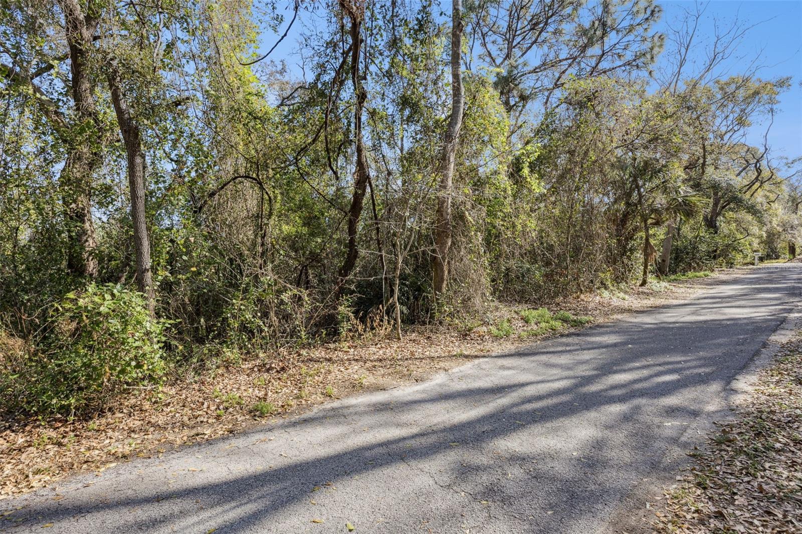 0 MAGNOLIA CREEK LN, MONTVERDE, FL — photo 5