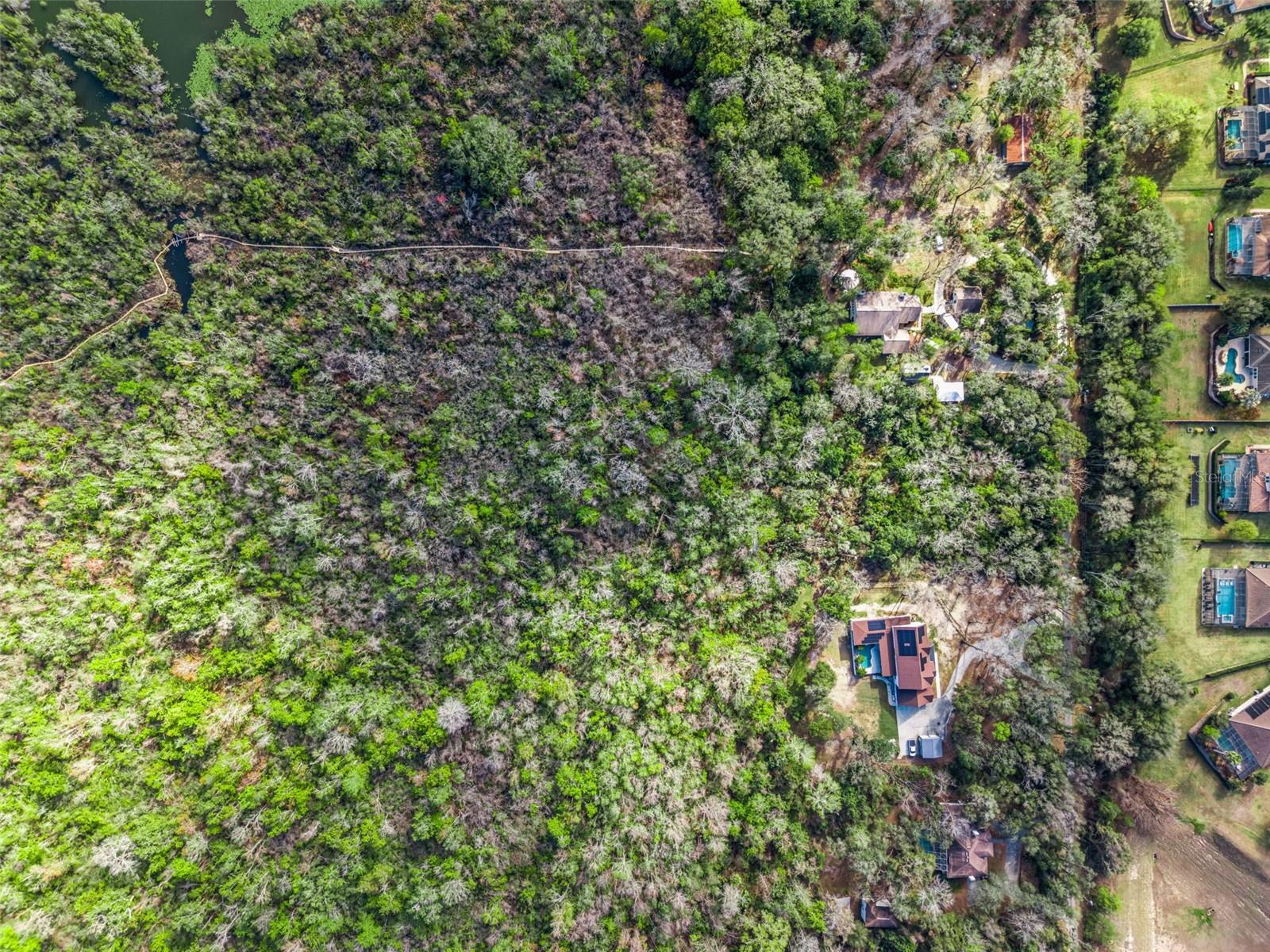 0 MAGNOLIA CREEK LN, MONTVERDE, FL — photo 9