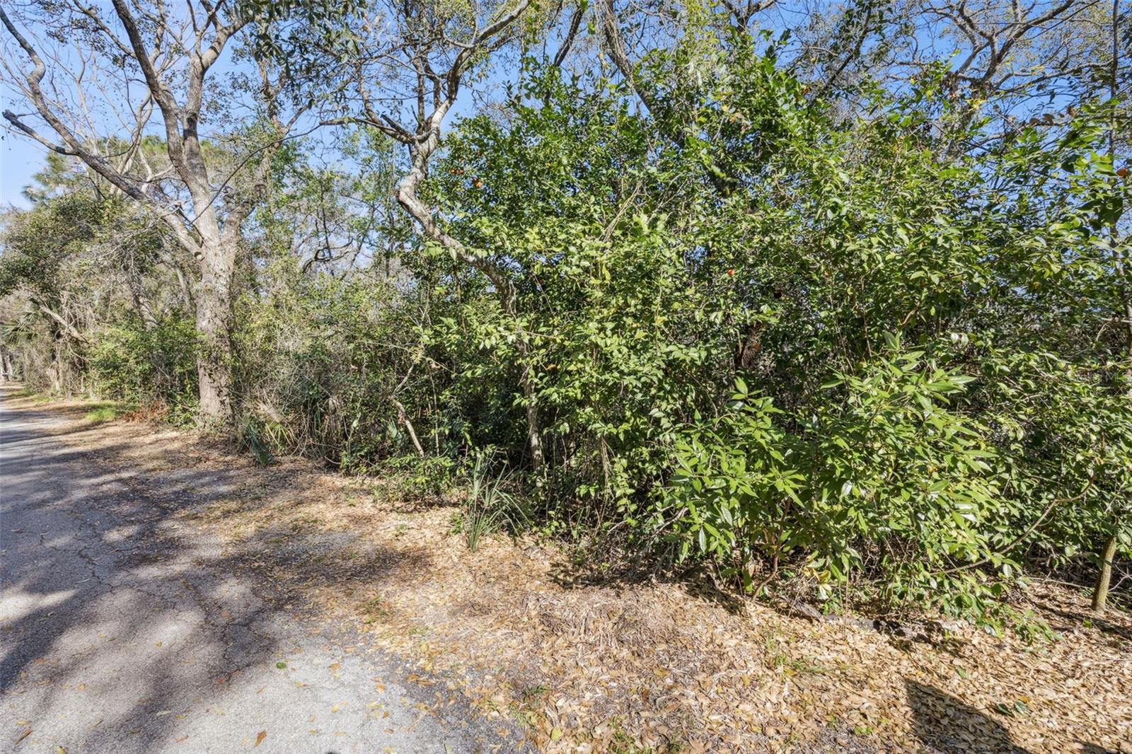 0 MAGNOLIA CREEK LN, MONTVERDE, FL — photo 47