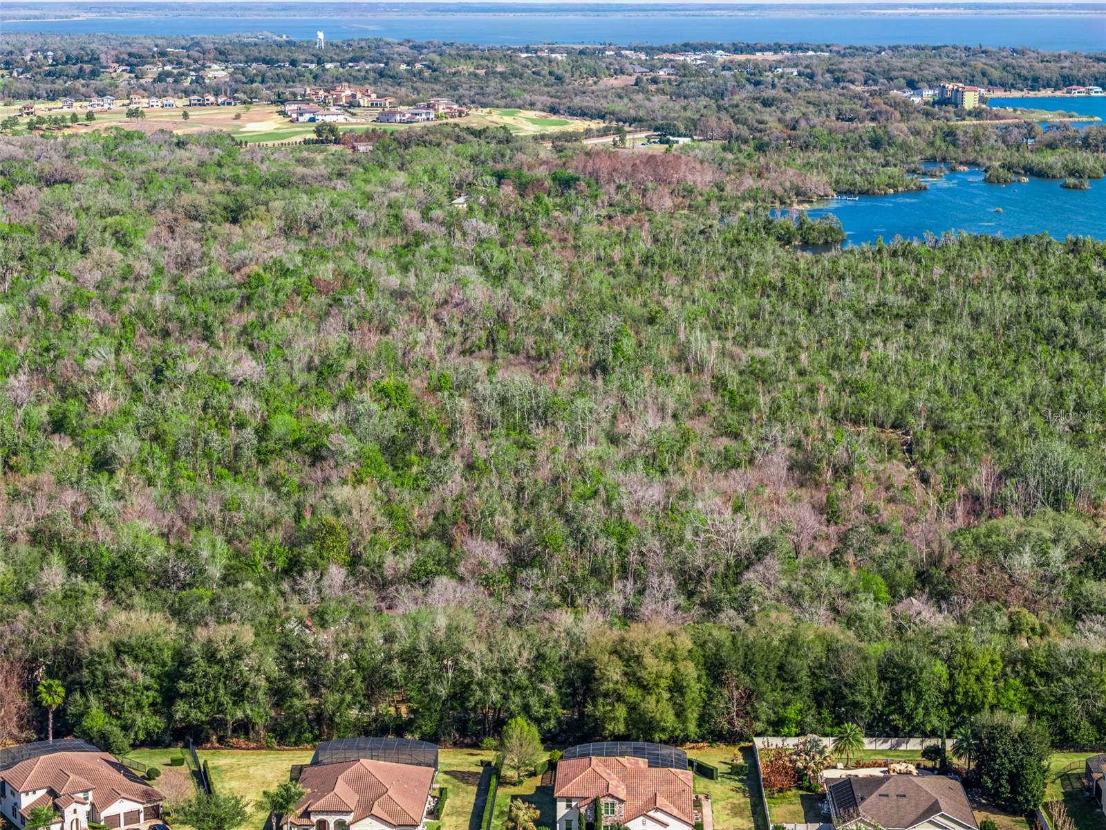 0 MAGNOLIA CREEK LN, MONTVERDE, FL — photo 68