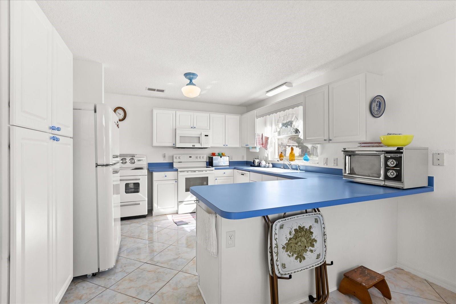 1301 FONTANA CT, THE VILLAGES, FL — photo 12
