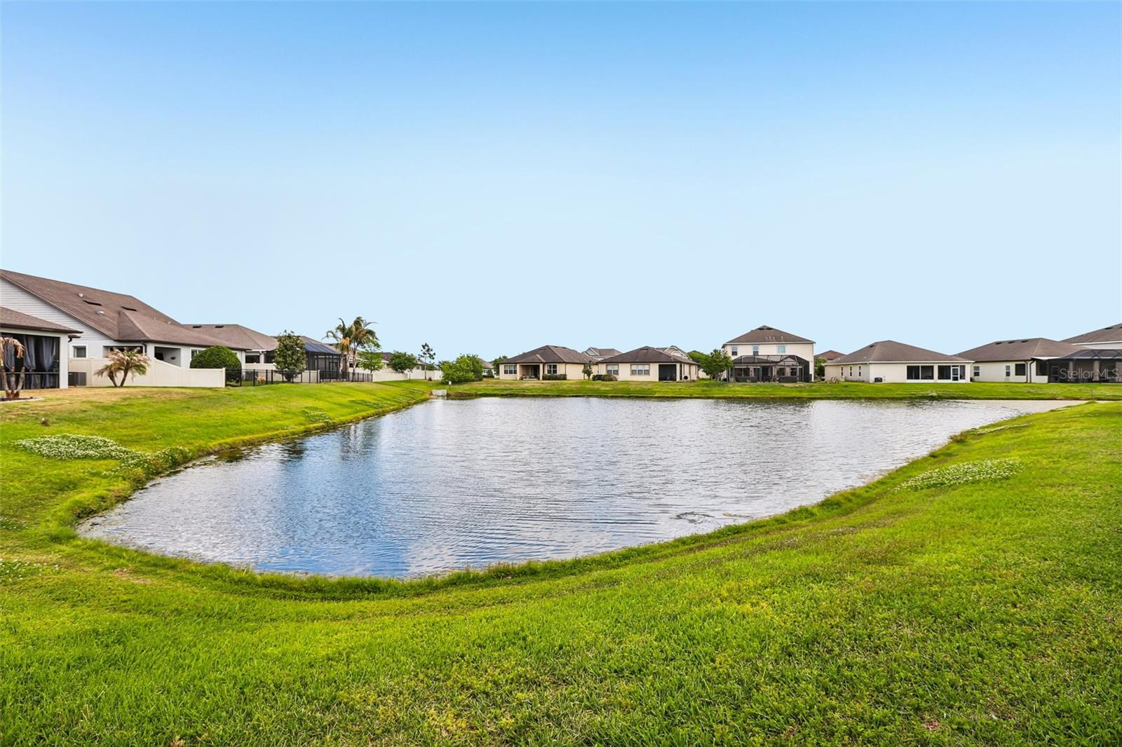 8245 OLIVE BROOK DR, WESLEY CHAPEL, FL — photo 27