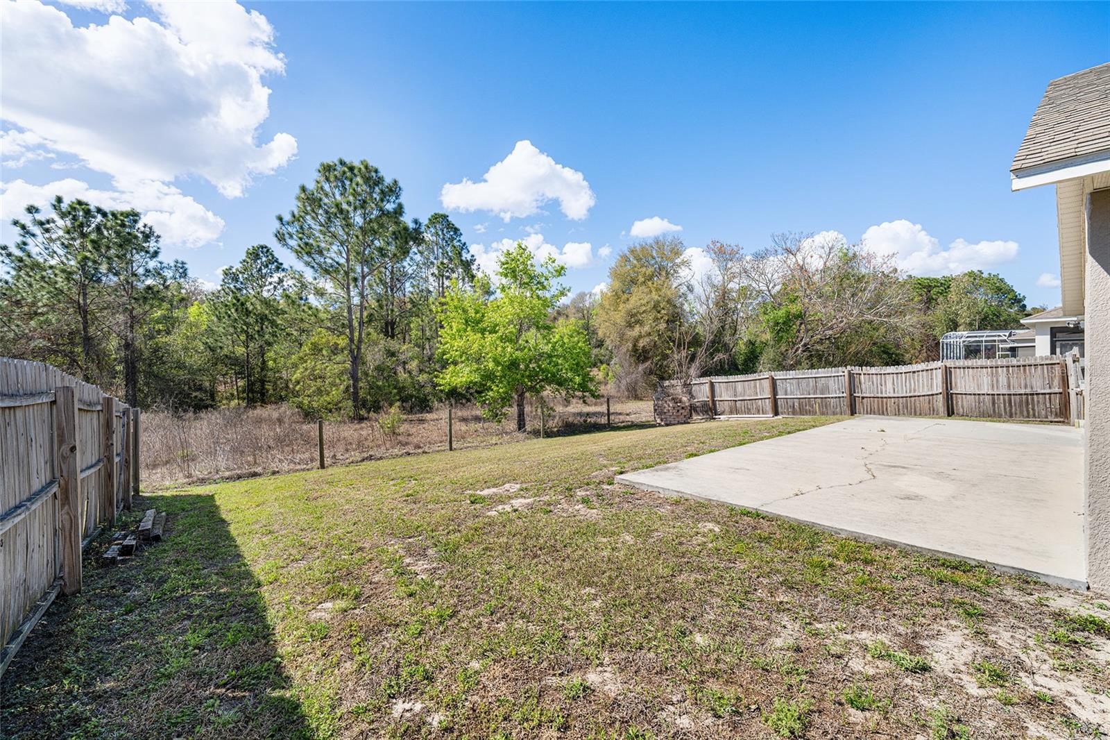 808 CHELSEA AVE, FRUITLAND PARK, FL — photo 58