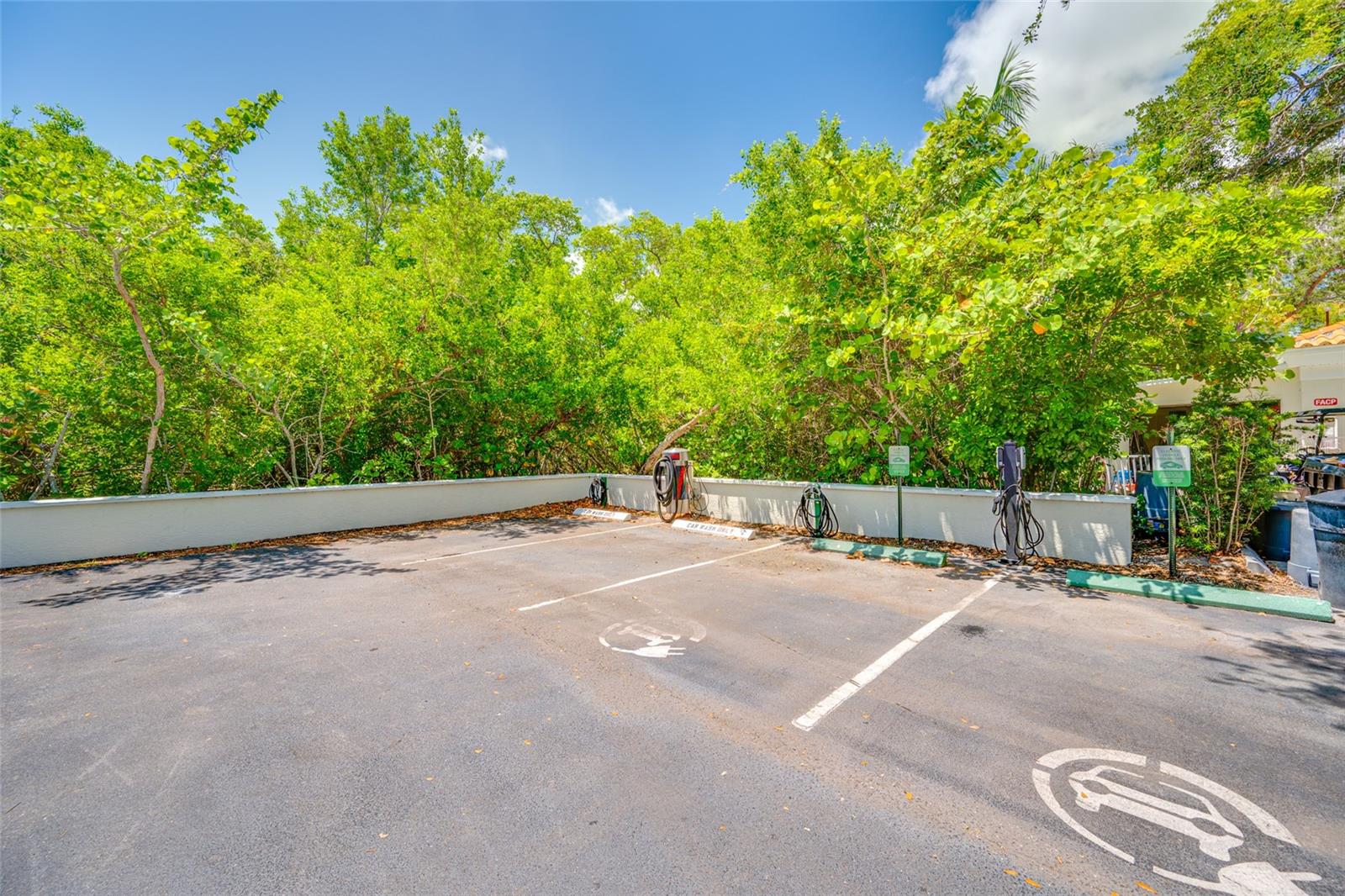 4750 DOLPHIN CAY LN S #509, ST PETERSBURG, FL — photo 81