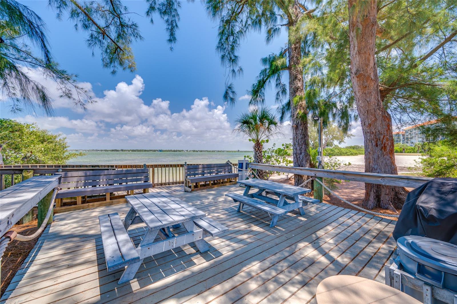 4750 DOLPHIN CAY LN S #509, ST PETERSBURG, FL — photo 74