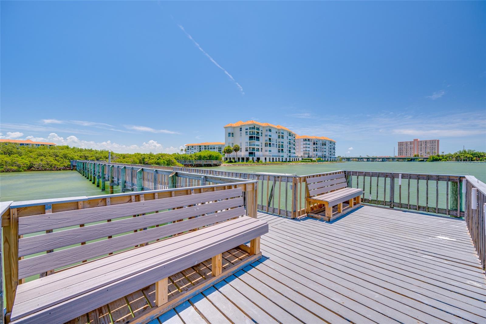 4750 DOLPHIN CAY LN S #509, ST PETERSBURG, FL — photo 84