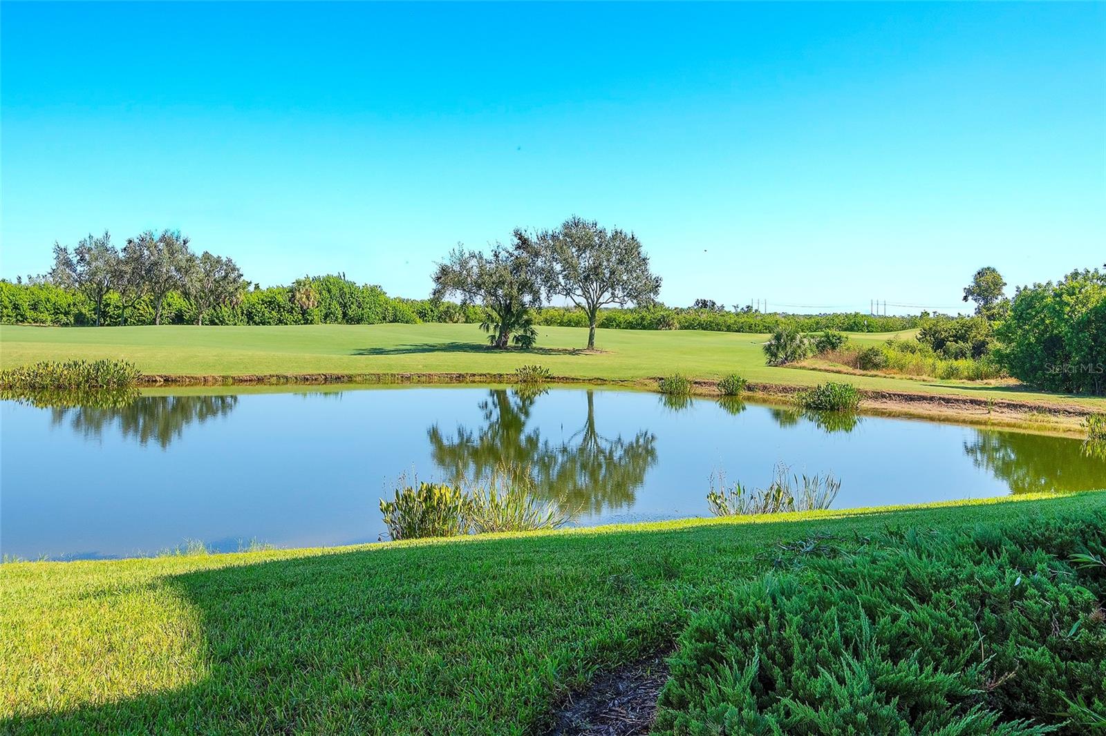 7121 RIVER HAMMOCK DR #303, BRADENTON, FL — photo 18