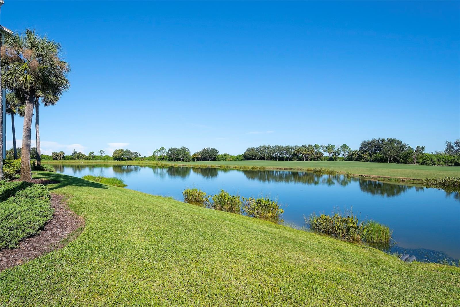 7121 RIVER HAMMOCK DR #303, BRADENTON, FL — photo 19