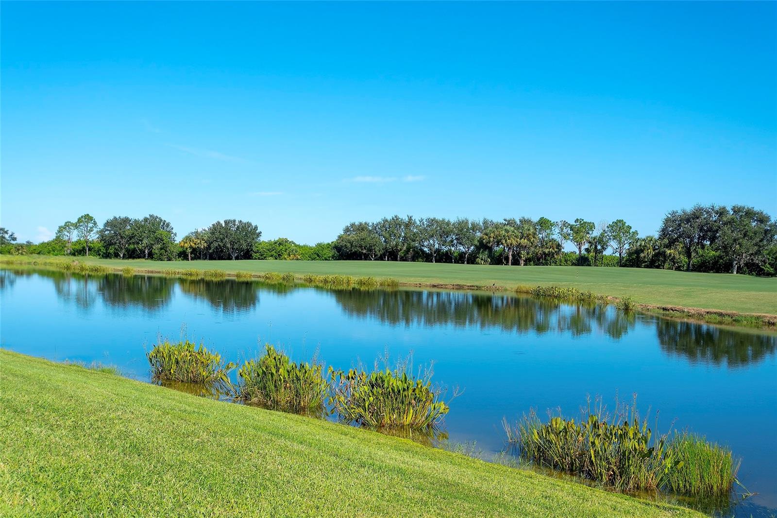 7121 RIVER HAMMOCK DR #303, BRADENTON, FL — photo 20