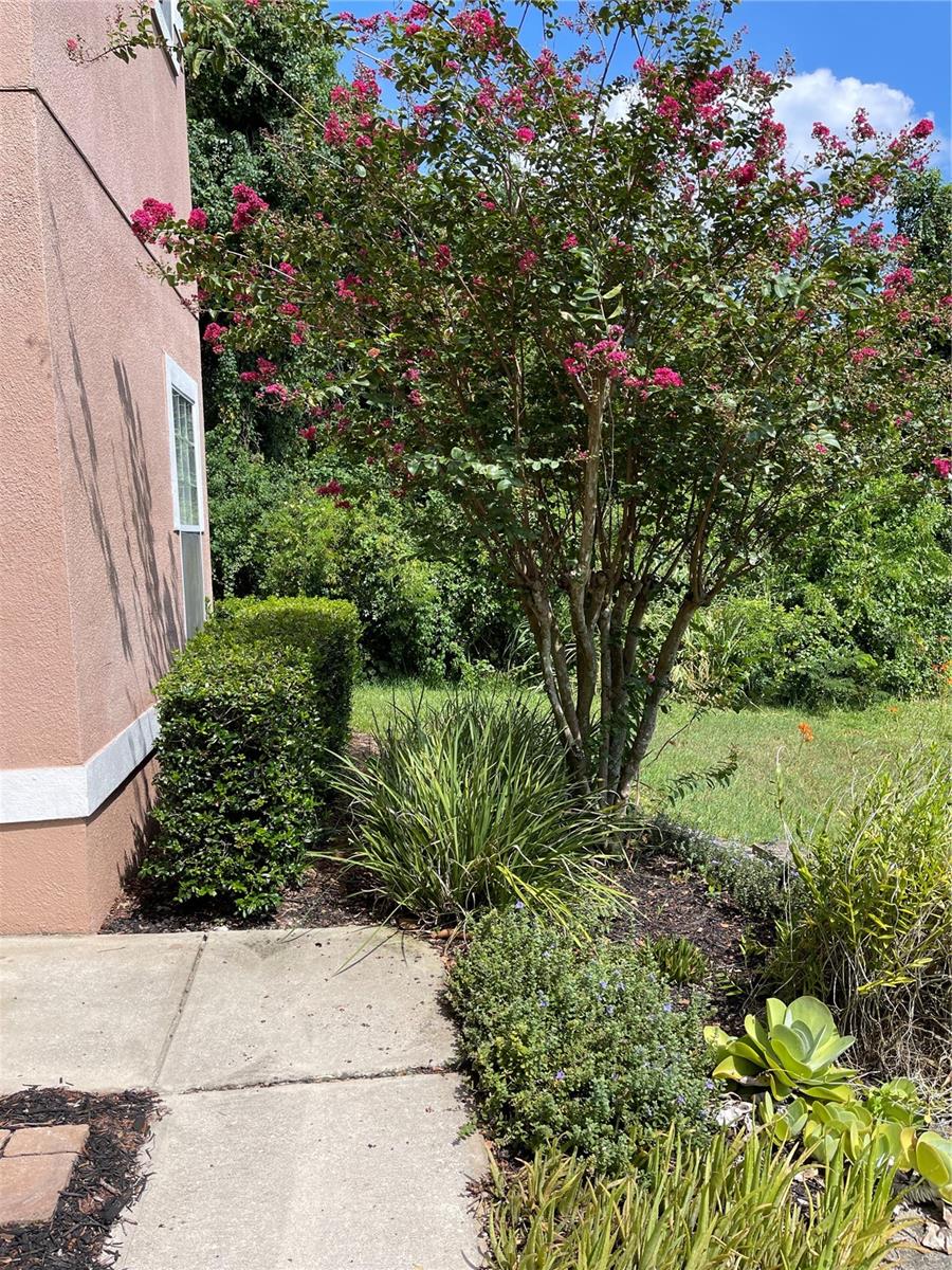 7617 BAY PORT RD #57, ORLANDO, FL — photo 4