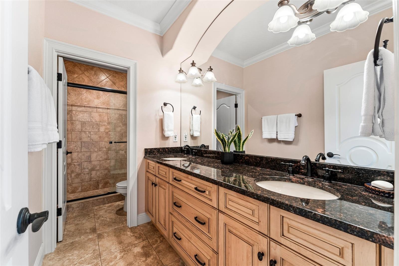 5070 DOWN POINT LN, WINDERMERE, FL — photo 47