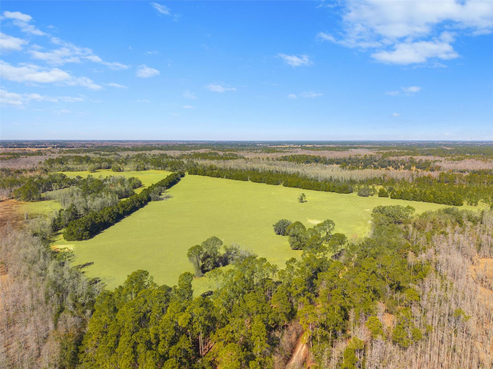 LAKE ERIE RD, GROVELAND, FL — photo 9
