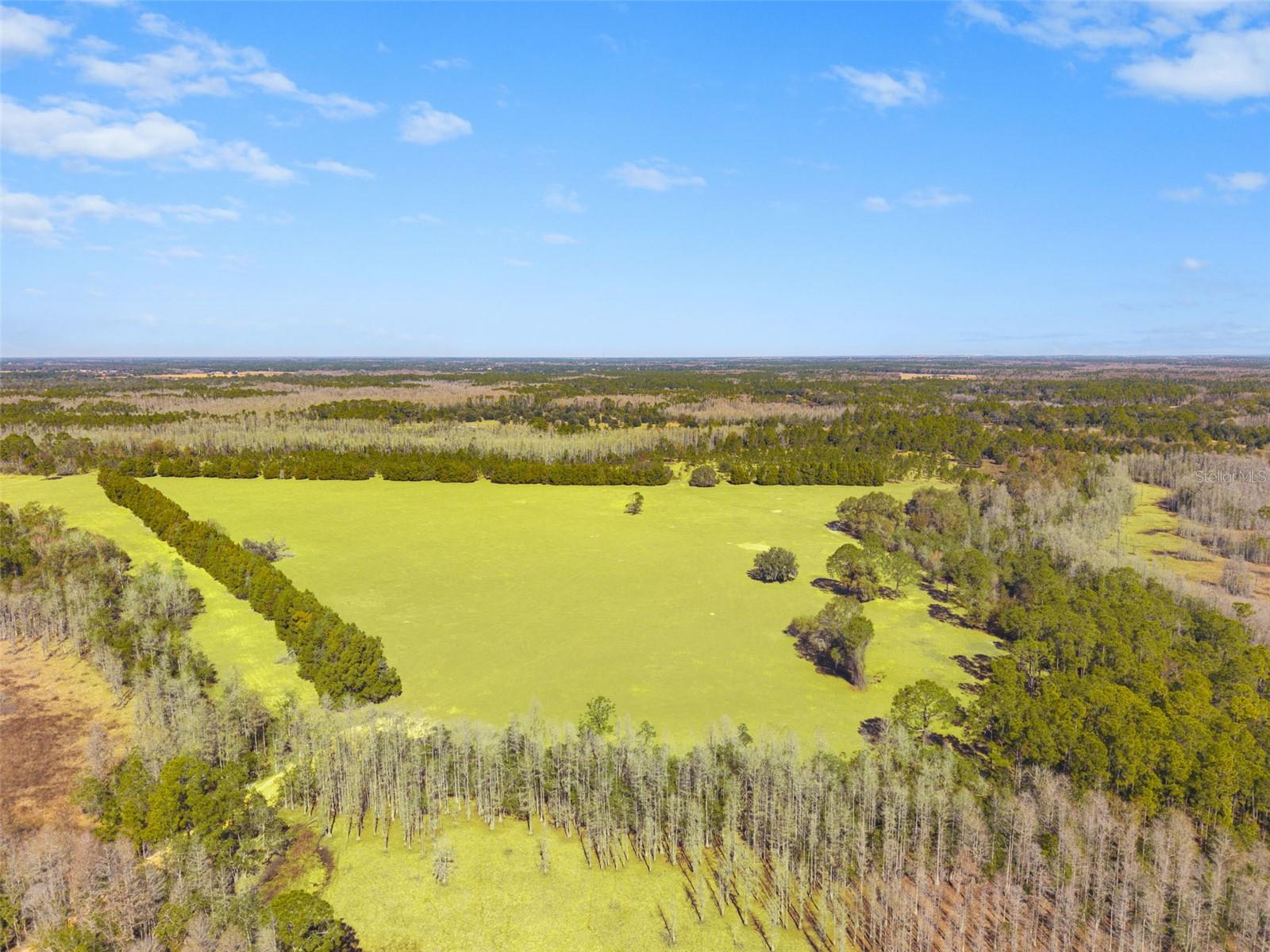 LAKE ERIE RD, GROVELAND, FL — photo 12