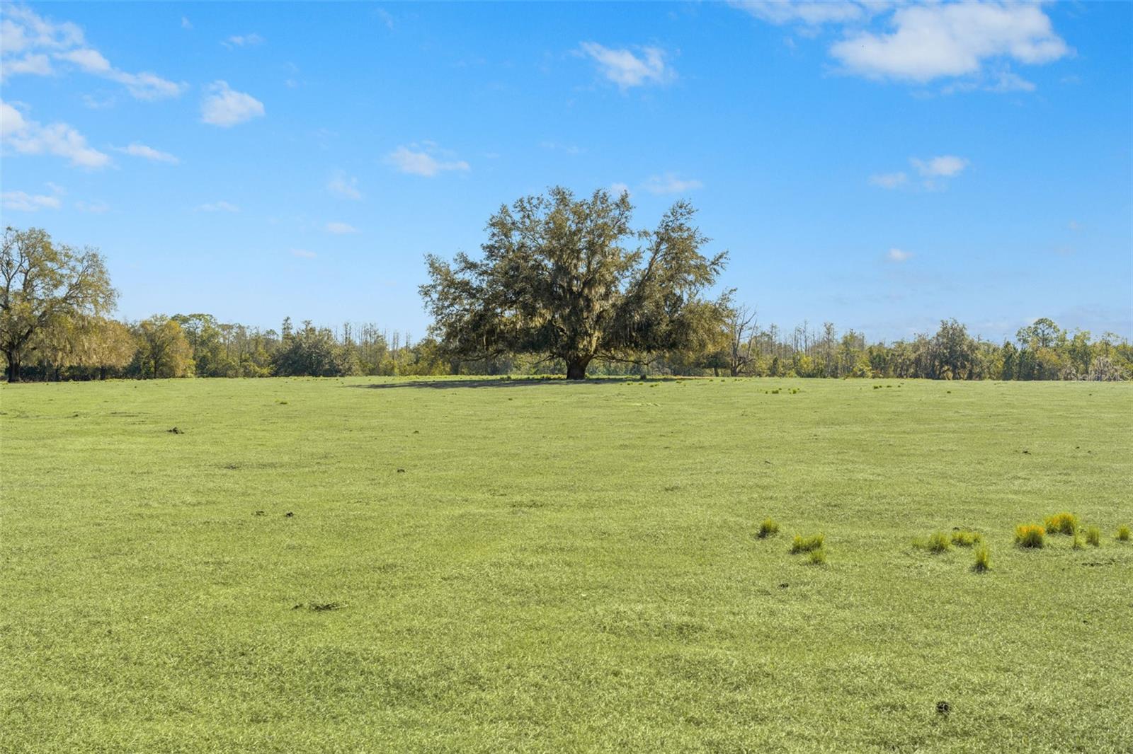 LAKE ERIE RD, GROVELAND, FL — photo 16