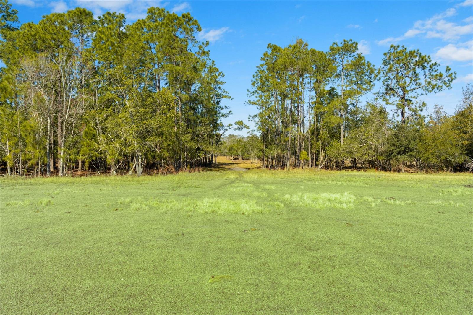 LAKE ERIE RD, GROVELAND, FL — photo 18