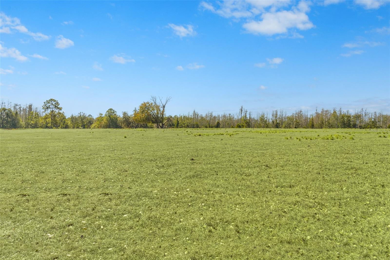 LAKE ERIE RD, GROVELAND, FL — photo 19