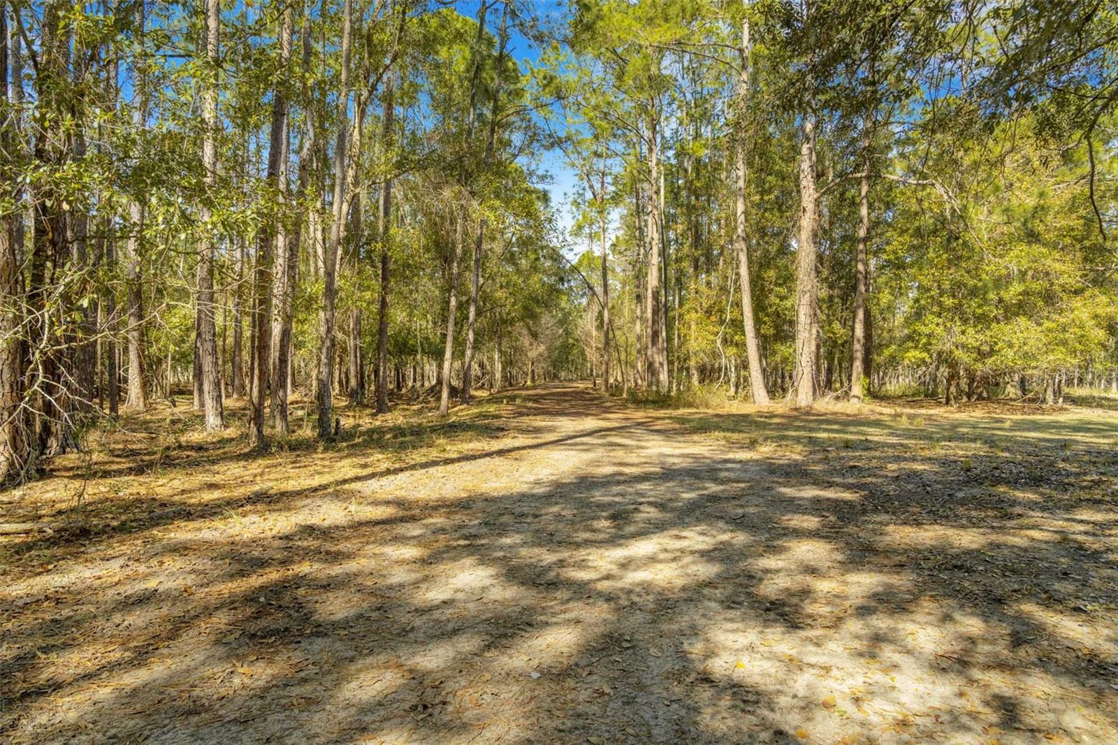 LAKE ERIE RD, GROVELAND, FL — photo 22