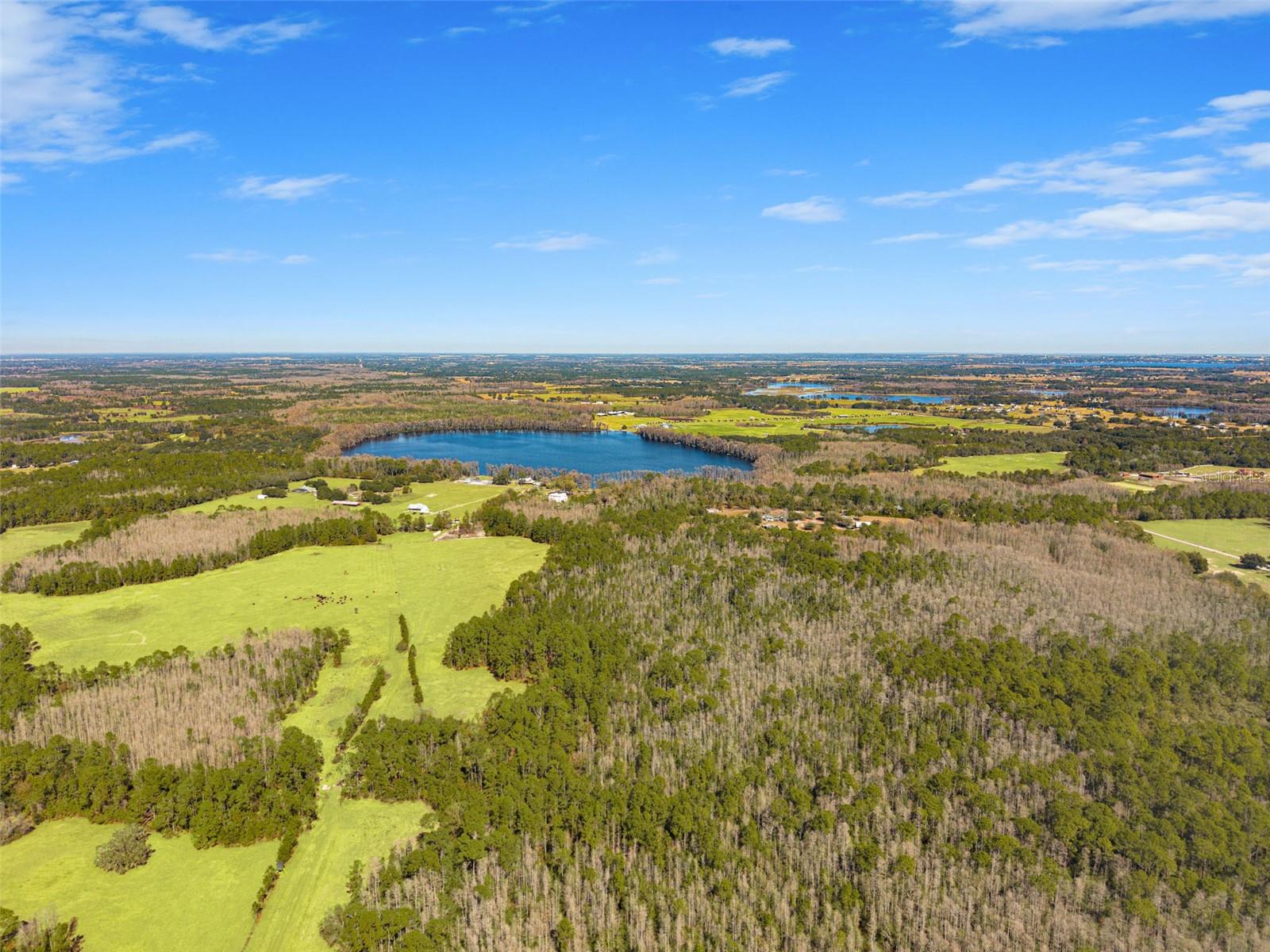 LAKE ERIE RD, GROVELAND, FL — photo 25