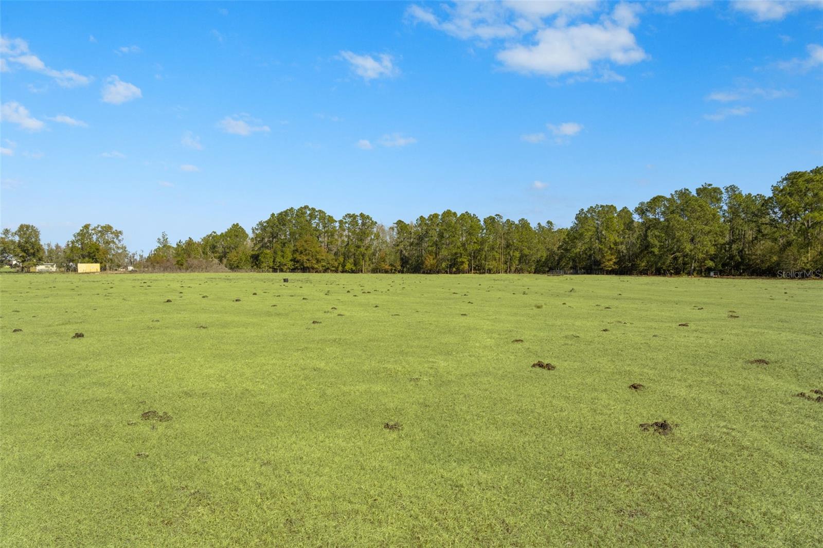 LAKE ERIE RD, GROVELAND, FL — photo 35